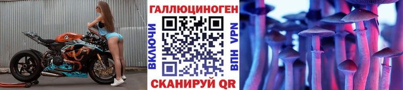 дарнет шоп Щучье Галлюциногенные грибы Psilocybe